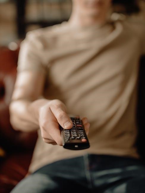 electric fireplace remote control instructions