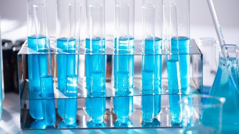 chemical equilibrium worksheet with answers pdf